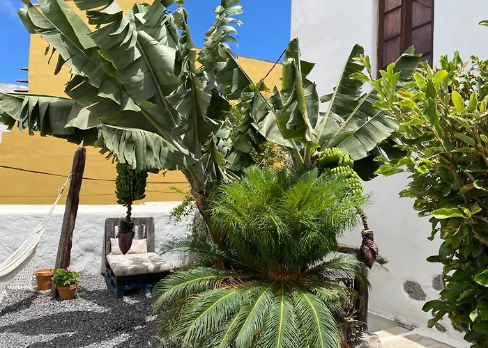 Casa Emblematica Buenavista Del Norte Bed & Breakfast