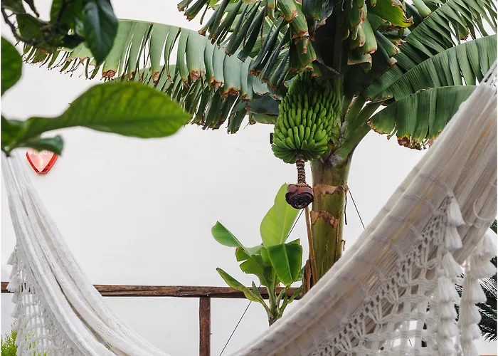 Bed & Breakfast Casa Emblematica Buenavista Del Norte Buenavista Del Norte