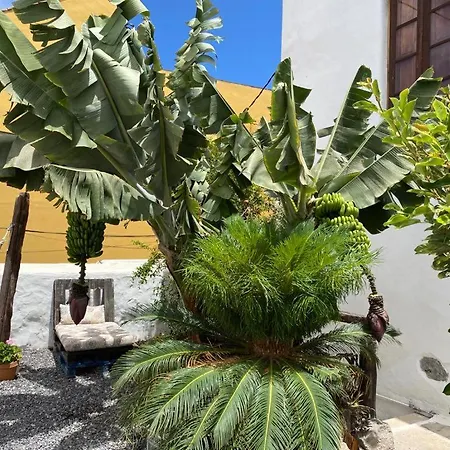 Casa Emblematica Bed & Breakfast