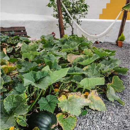 Bed & Breakfast Casa Emblematica 2*