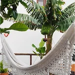 Bed & Breakfast Casa Emblematica Buenavista Del Norte